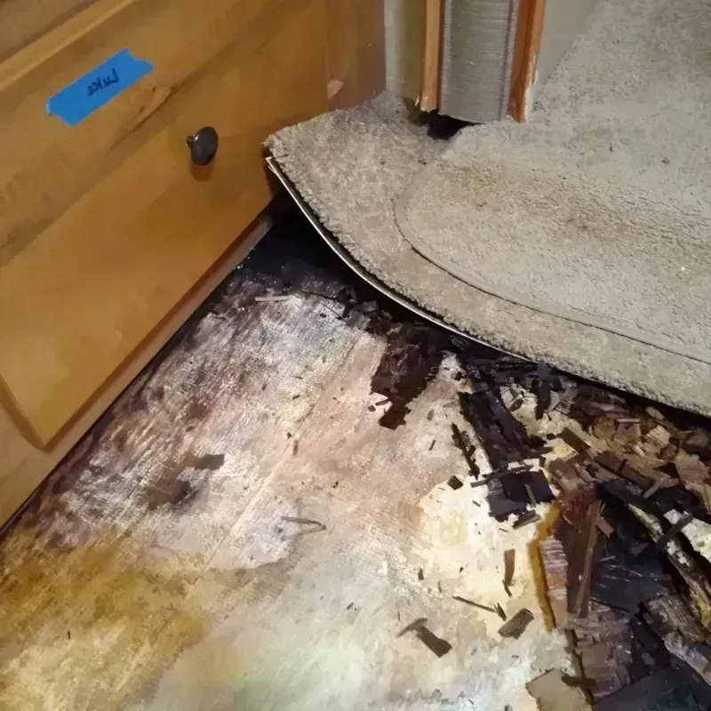 Wood Floor Water Damage in Alton, TX